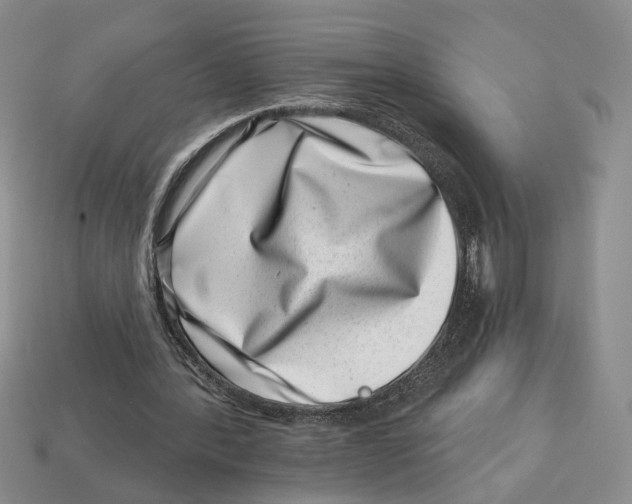 X0000113000388200909241306