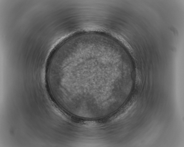 X0000113000391200909241306