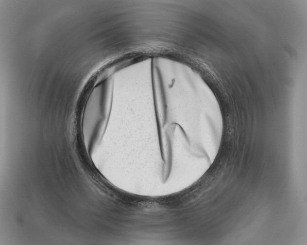 X0000113000392200909241306