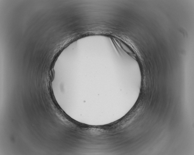 X0000113000393200909241306