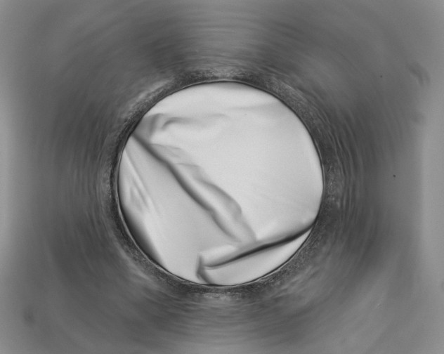 X0000113000394200909241305