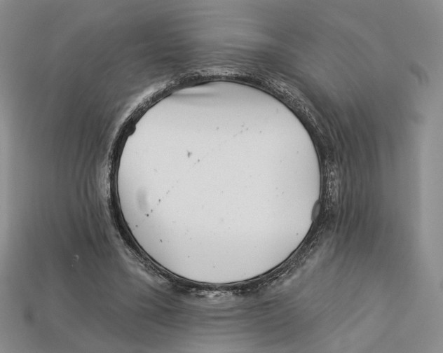 X0000113000395200909241305