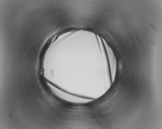 X0000113000396200909241305