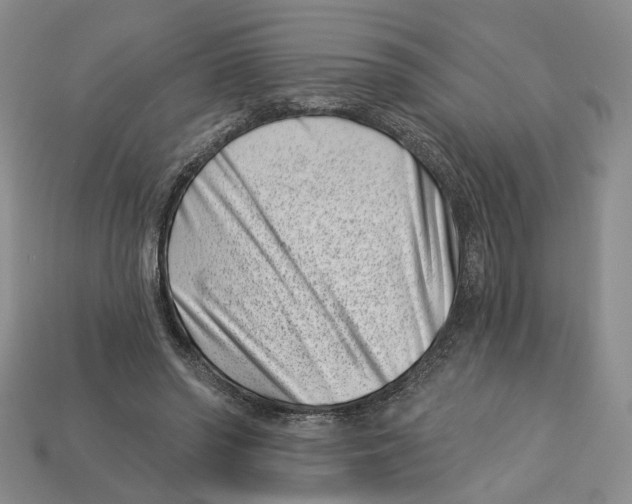 X0000113000398200909241305