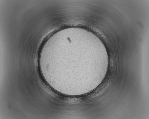 X0000113000399200909241305