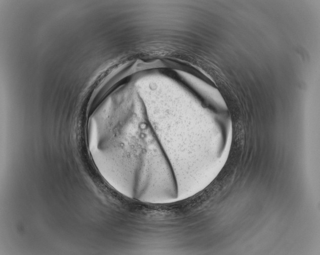 X0000113000400200909241305