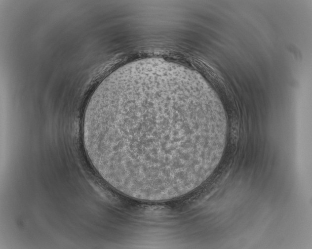 X0000113000401200909241305