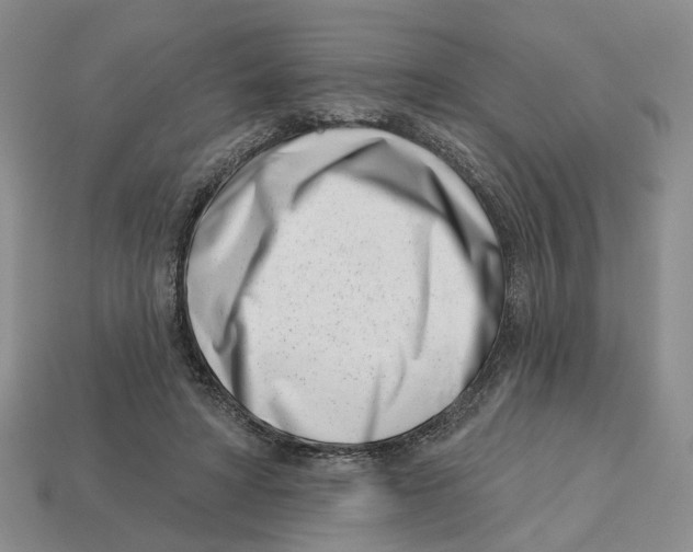 X0000113000402200909241305