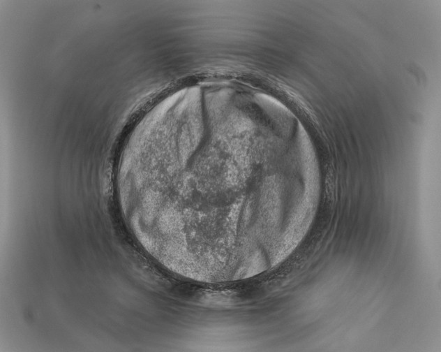 X0000113000403200909241305