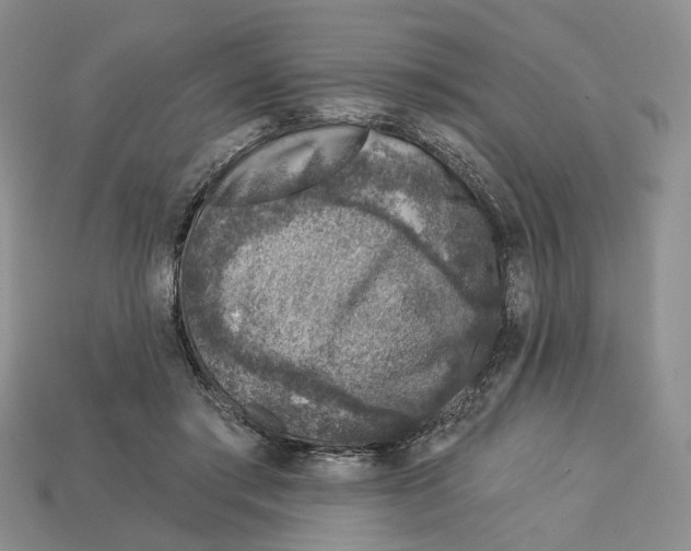 X0000113000405200909241305