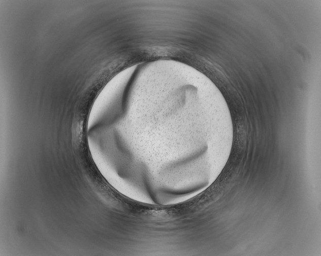 X0000113000406200909241305