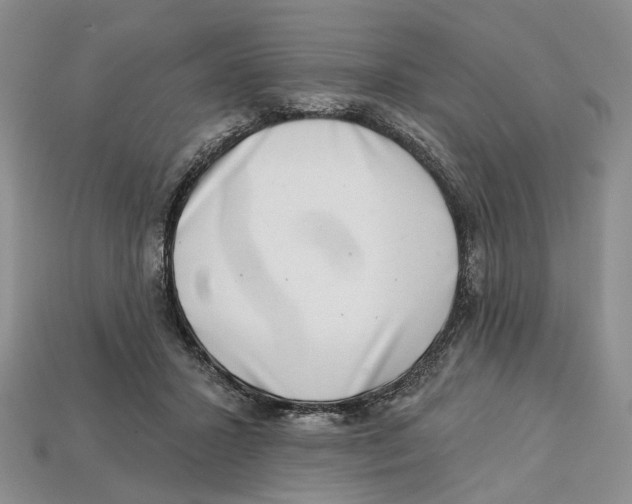 X0000113000407200909241305