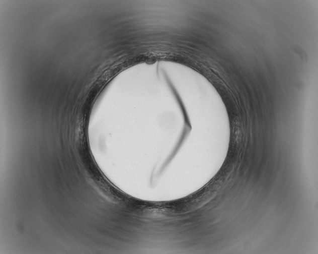 X0000113000408200909241305