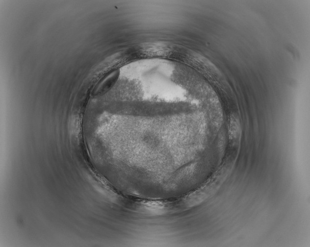 X0000113000409200909241305