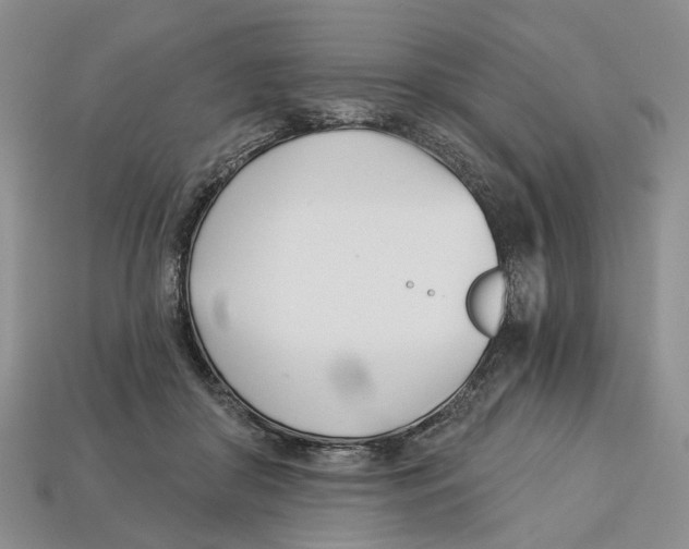 X0000113000410200909241305