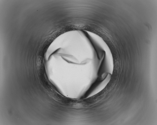 X0000113000412200909241305