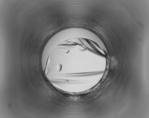 X0000113000415200909241305