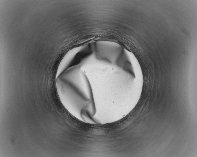 X0000113000416200909241305