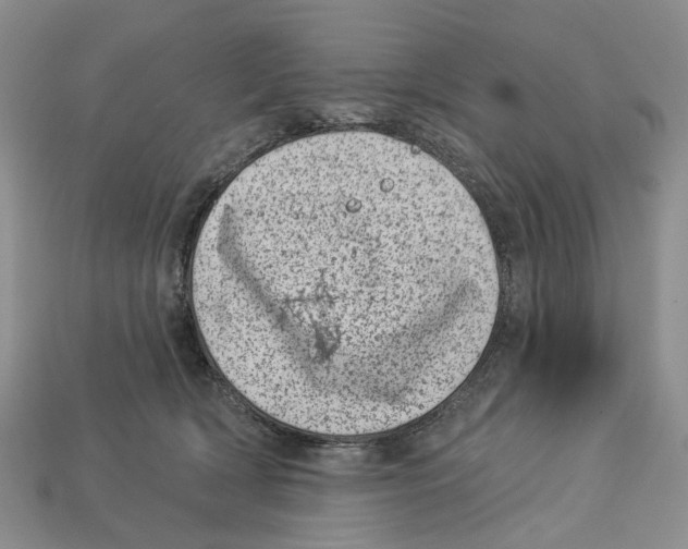 X0000113000418200909241305