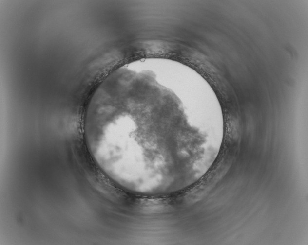 X0000113000419200909241305