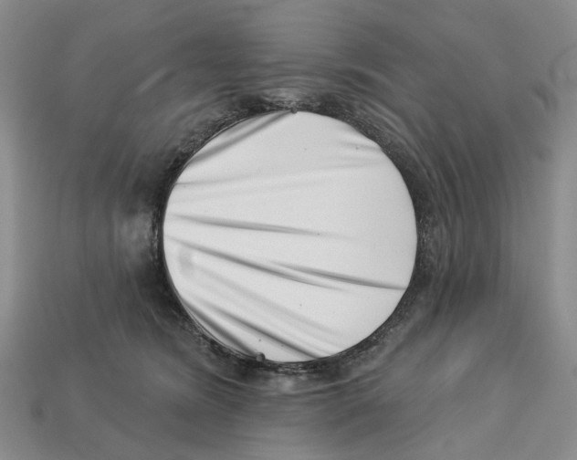 X0000113000420200909241305