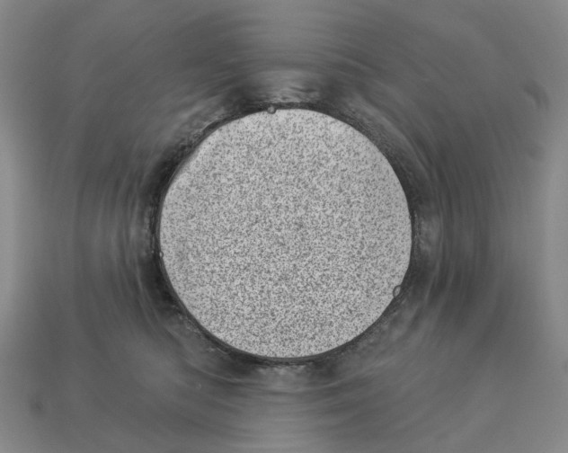 X0000113000422200909241305