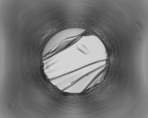 X0000113000423200909241305