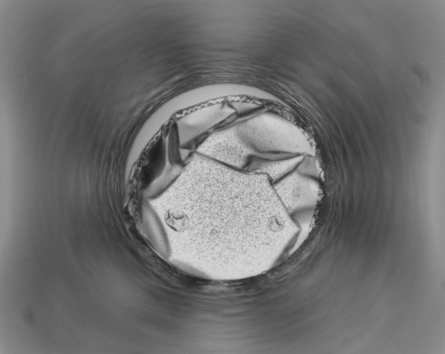 X0000113000425200909241305