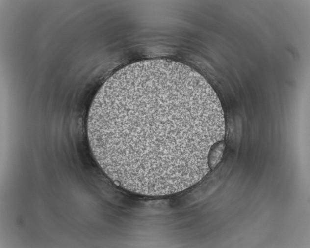 X0000113000426200909241305