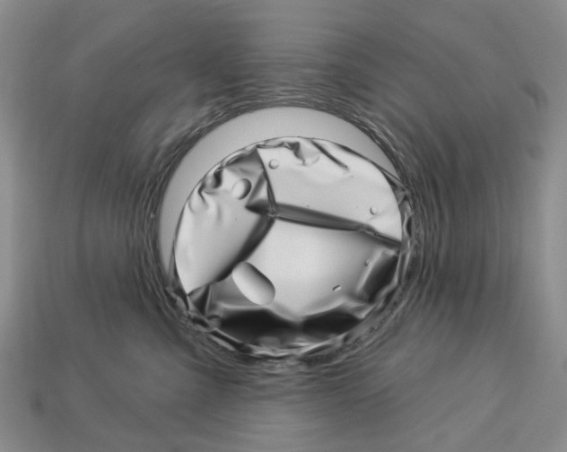 X0000113000427200909241305