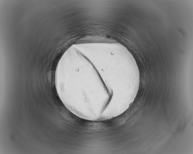 X0000113000428200909241305