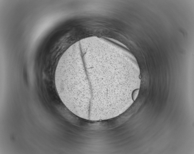 X0000113000430200909241305