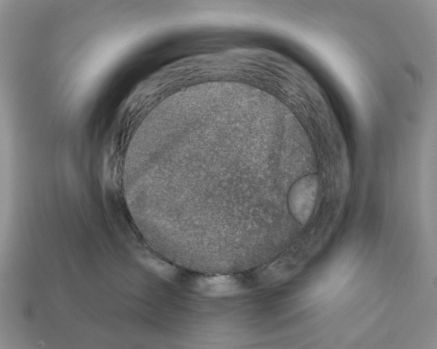 X0000113000431200909241305