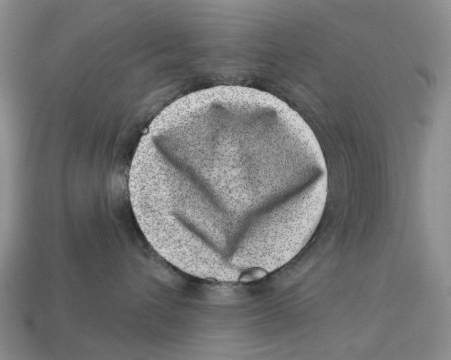 X0000113000432200909241305