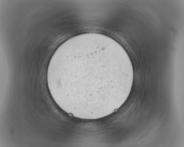 X0000113000433200909241304