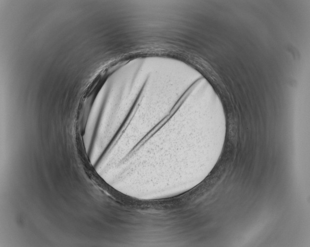 X0000113000434200909241304