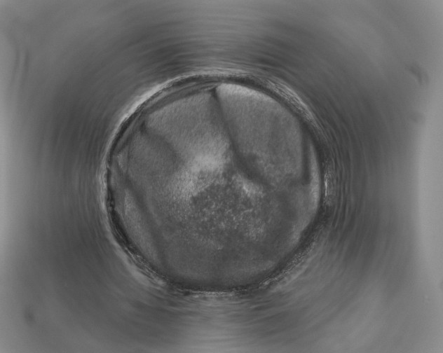 X0000113000436200909241304