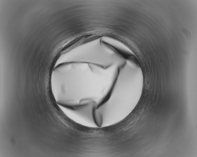 X0000113000437200909241304