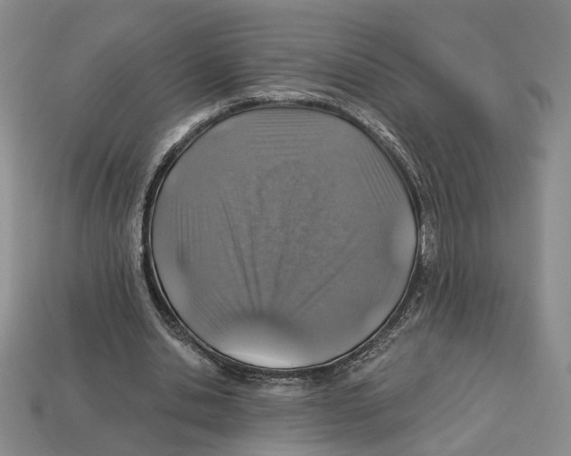 X0000113000438200909241304