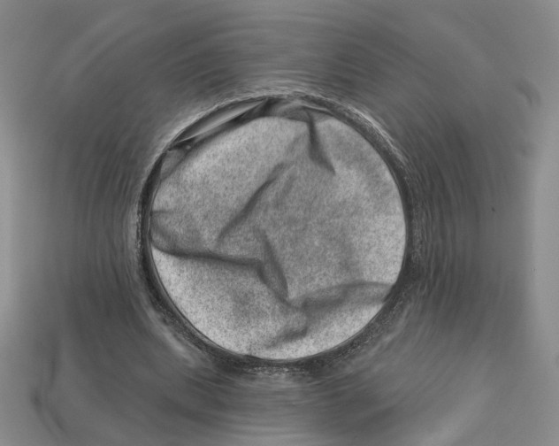 X0000113000439200909241304