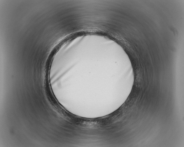 X0000113000440200909241304