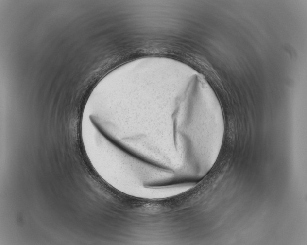 X0000113000441200909241304