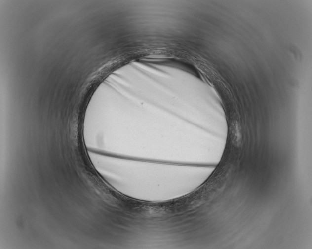 X0000113000442200909241305