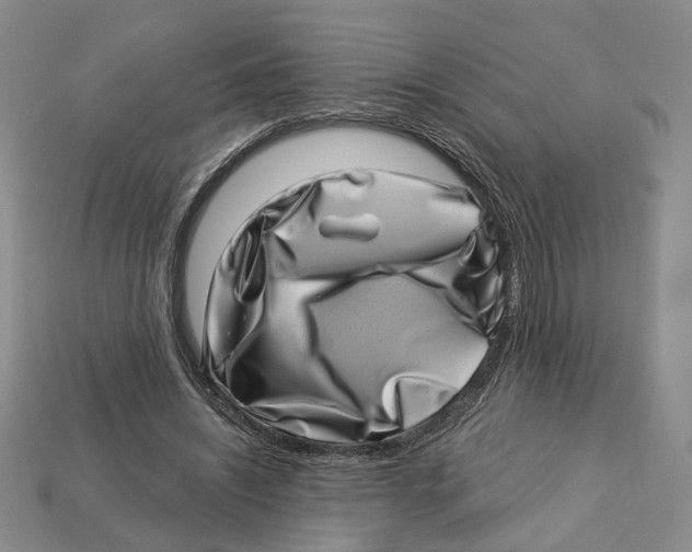 X0000113000444200909241305