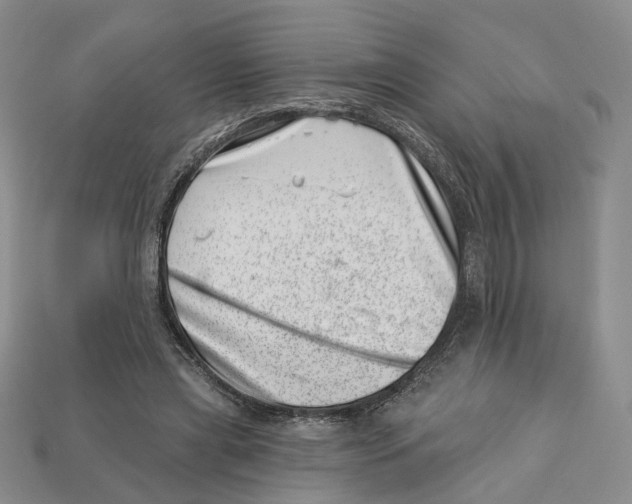 X0000113000445200909241305