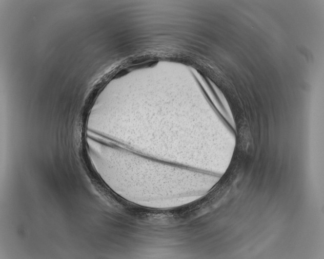 X0000113000446200909241305