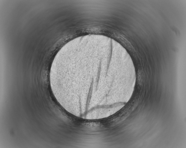 X0000113000449200909241305