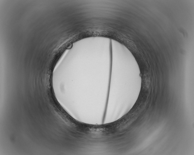 X0000113000450200909241305