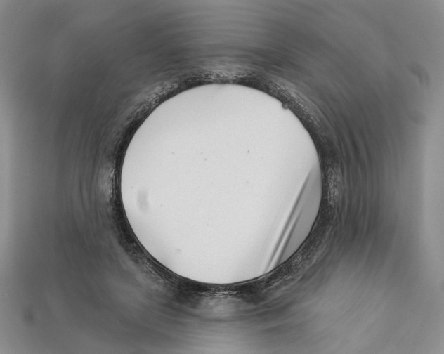 X0000113000451200909241305