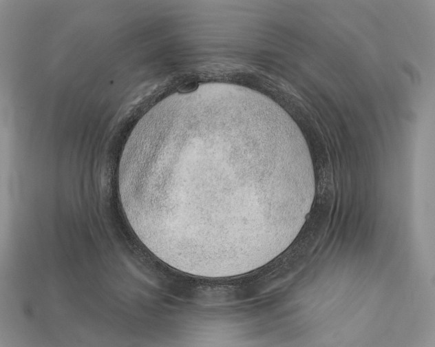 X0000113000452200909241305